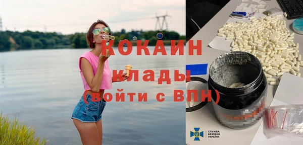 индика Каменка