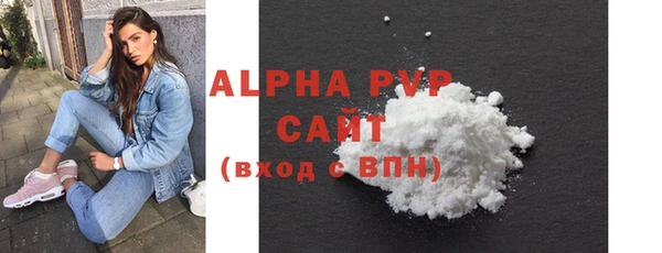 индика Каменка