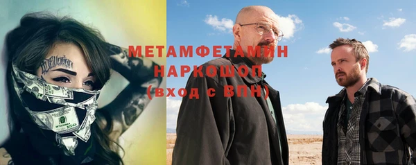 индика Каменка