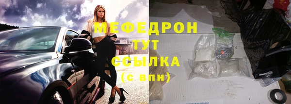 индика Каменка