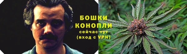 индика Каменка