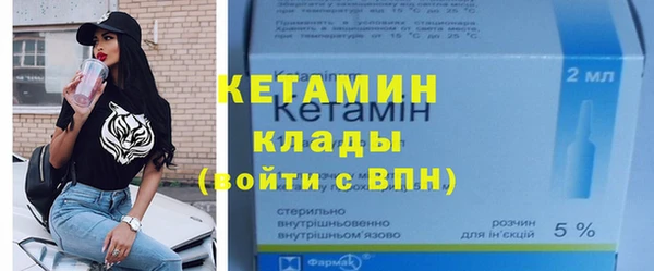 индика Каменка