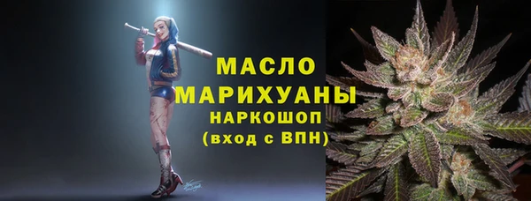 индика Каменка