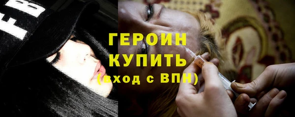 индика Каменка