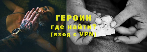 индика Каменка