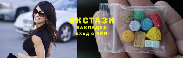 индика Каменка