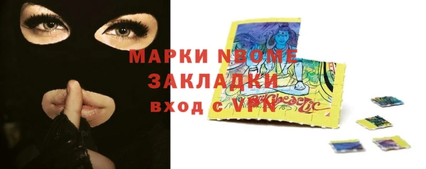 индика Каменка
