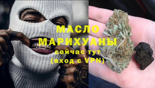 индика Каменка