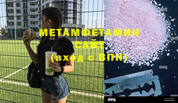 индика Каменка
