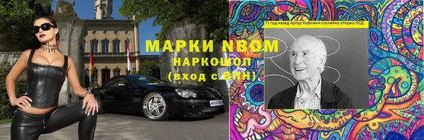 индика Каменка