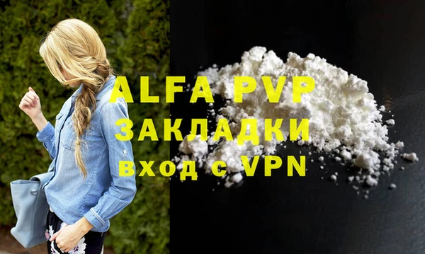 индика Каменка