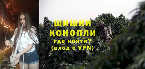 индика Каменка