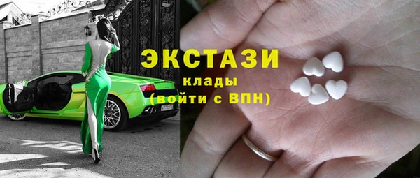 индика Каменка