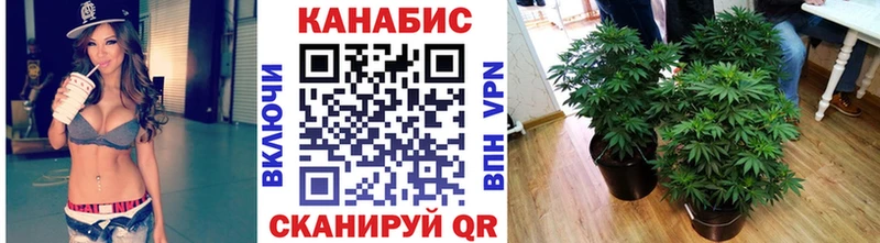 Марихуана сатива  Купить где  Ханты-Мансийск 